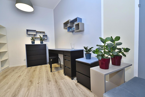 Comfortable studio in Fabryczna