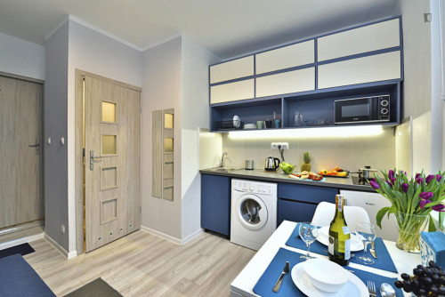 Inviting studio near the Niciarniana train station   - Gallery -  5