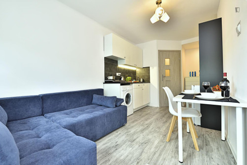 Brilliant studio in Stare Bałuty