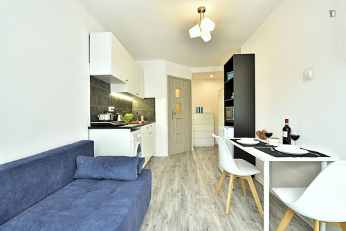 Brilliant studio in Stare Bałuty - Gallery - 5