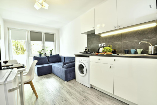 Brilliant studio in Stare Bałuty