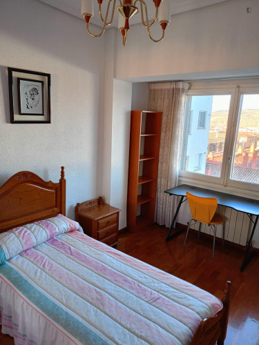 Very cosy single bedroom near Universidad de La Rioja