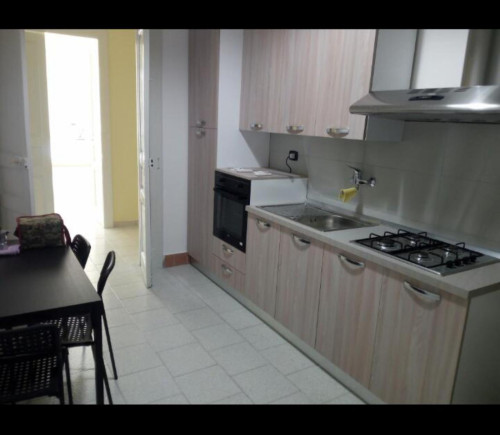 Double Bedroom in a Shared Apartment