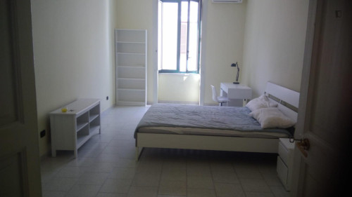 Double Bedroom in a Shared Apartment