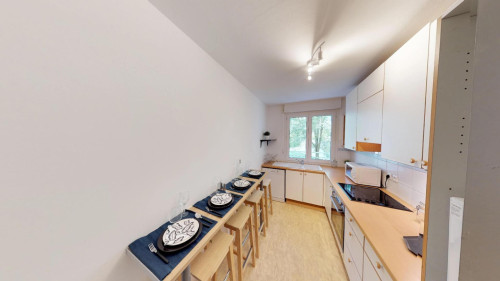 Beautiful Elegant Apt. near Vieux Lille