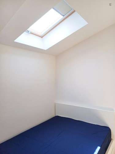 Bright studio in Montes Claros