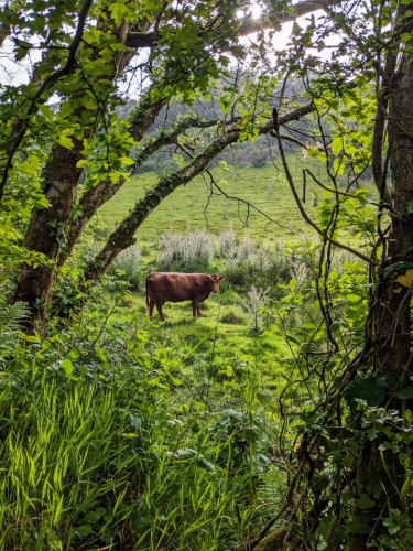 Serene Coliving Retreat in Stunning Exmoor National Park  - Gallery -  5