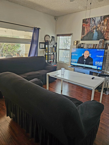 South Figueroa Home - Gallery - 101
