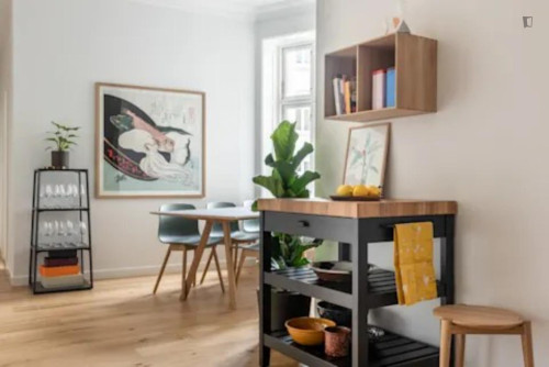 Bright double bedroom in Blegdammen
