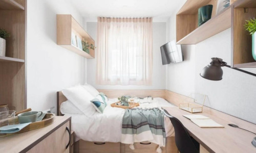 Cosy single bedroom near Parque de la Devesa - Gallery - 34
