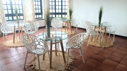 Peaceful Coliving Retreat for Digital Nomads in Scenic Santa Comba Dão