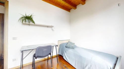 Single bedroom in 3-bedroom apartment