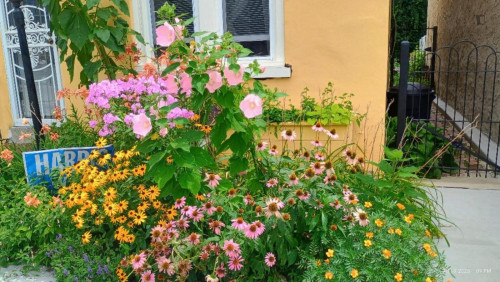 Cozy single bedroom in historic Germantown - Gallery - 6