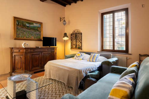 Comfortable 2-bedroom flat in San Frediano - Gallery - 36