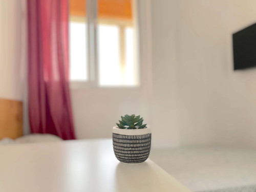 Sunny room near CENTER with A/C in apart., TV 32", lock door and WIFI incl. - Gallery - 11
