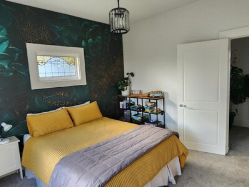 Discover Kiwi Life - Gallery - 7