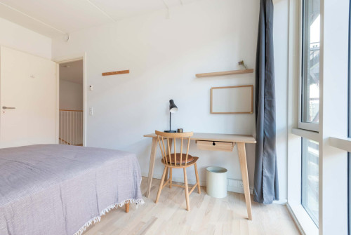 Thor Room 4 Standard+ - Gallery - 6