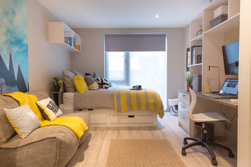  Classic Studio  -  Willowbank  - Gallery -  1