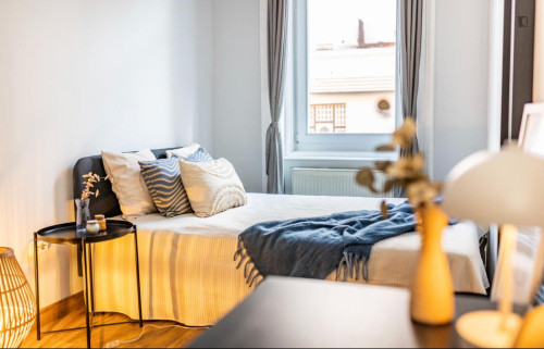 Pleasant double bedroom in District VII