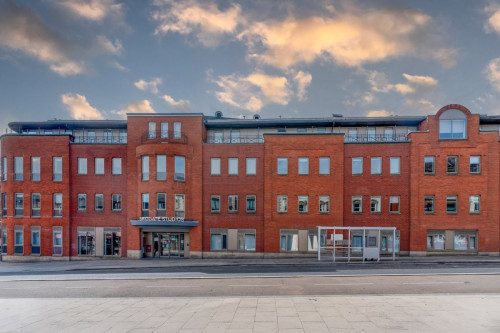 Go Britanya - Briggate Studios