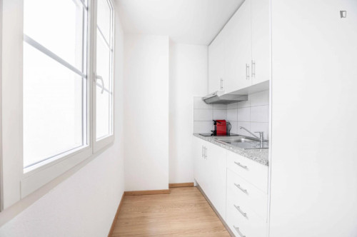 HH, Swiss, Lausanne, Saint-Laurent 33-35, n402