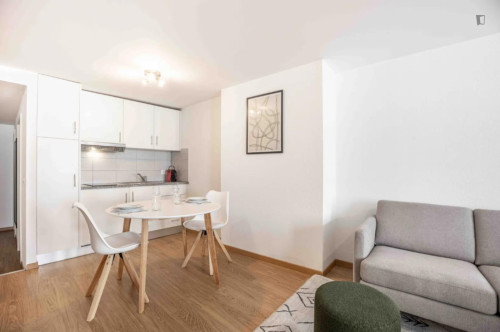 HH, Swiss, Lausanne, Saint-Laurent 33-35, n302