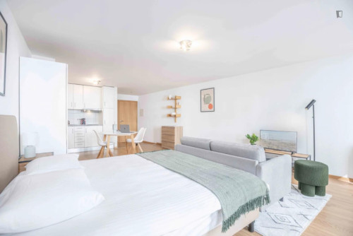 HH, Swiss, Lausanne, Saint-Laurent 33-35, n201