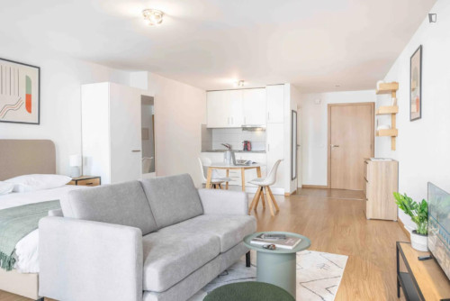 HH, Swiss, Lausanne, Saint-Laurent 33-35, n201