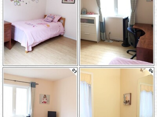 Spacious, quiet, bright home