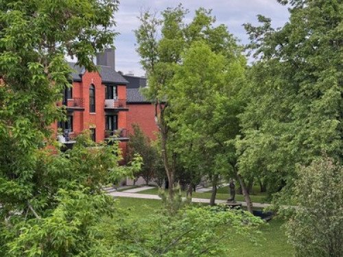 Sunny Room in Côte des Neiges  - Gallery -  5