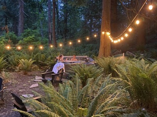 Chill on an Island  - Gallery -  5