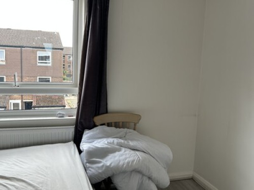 Large Airy double room in Tooting
