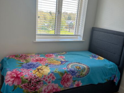 Double Room rent - Gallery - 10