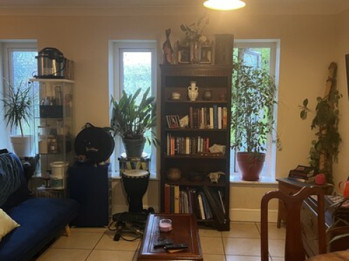 Galway | Wellpark |Arty Cozy 