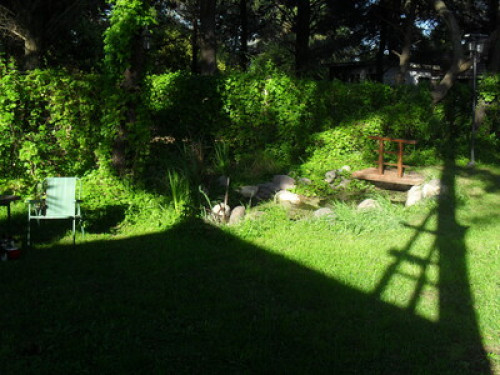 love of nature! - Gallery - 6