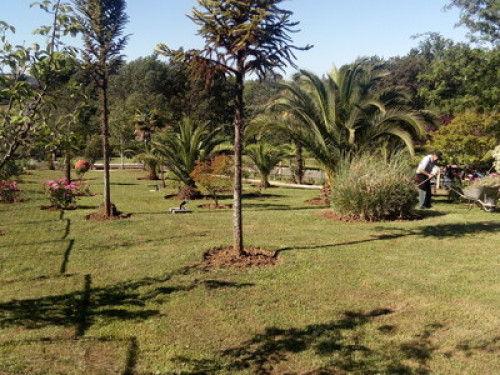 Cabañas Club El Mediteraneo