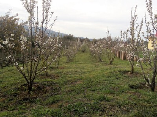Cabañas Club El Mediteraneo