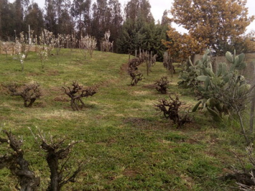 Cabañas Club El Mediteraneo