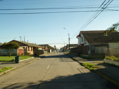 CHILE, BIOBIO, COZY FAMILY  - Gallery -  5