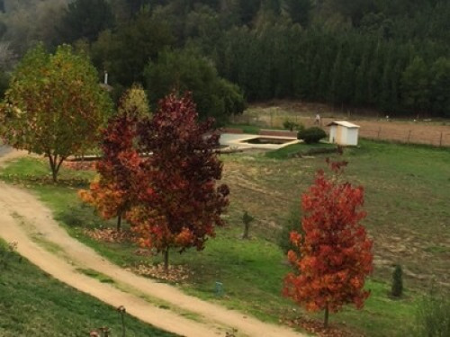 Country house - Gallery - 22