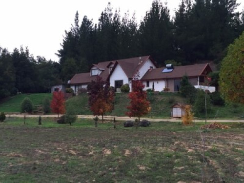 Country house - Gallery - 29