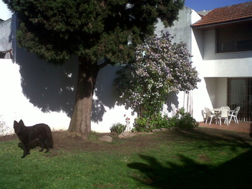 Authentic Family Avellaneda - Gallery - 8