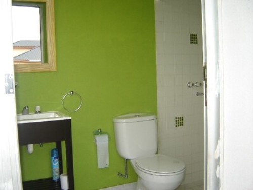 We that loves the park , after city