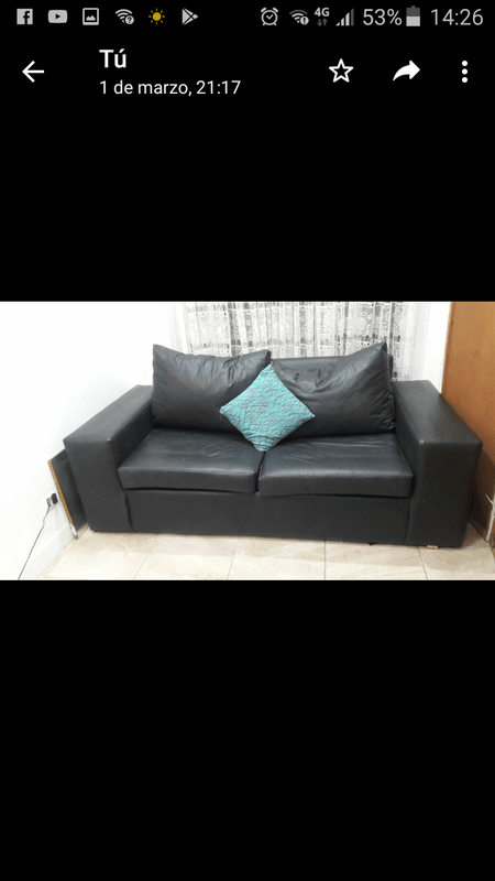 Sofa Cama ( Dos Plazas)(Full Room) - 1