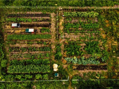 surrounded by nature - farmstay - Gallery - 10