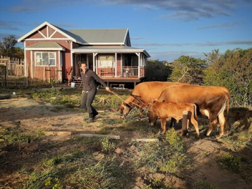 surrounded by nature - farmstay - Gallery - 8