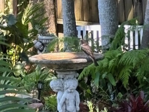 Quiet, peacefull and friendly 