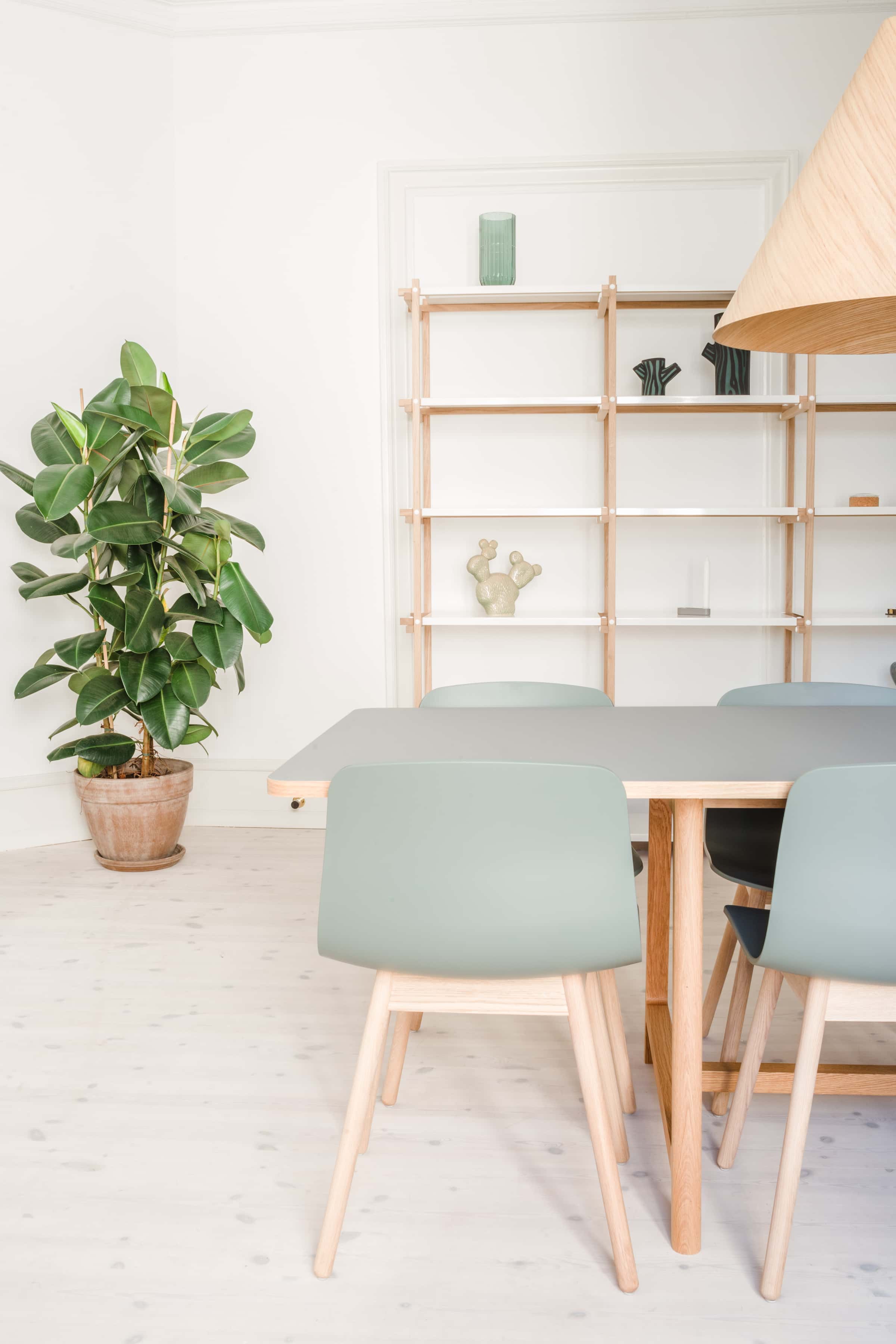  6 Bedrooms - 2 Bathrooms  -  Square Room 2 Mighty+  - Gallery -  5