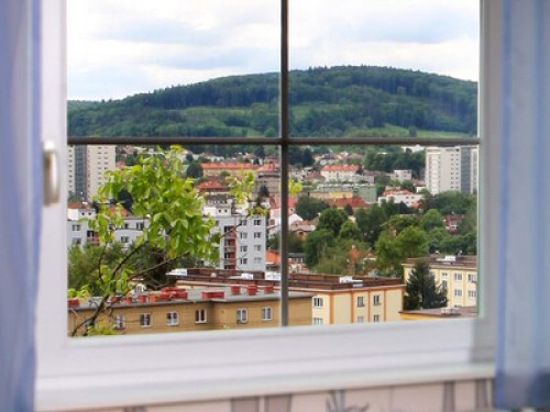 Big and sunny apartment - Gallery - 25