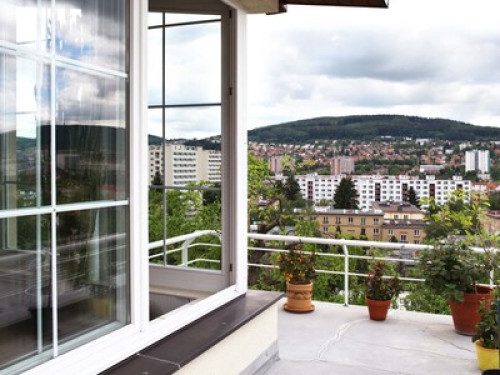 Big and sunny apartment - Gallery - 23